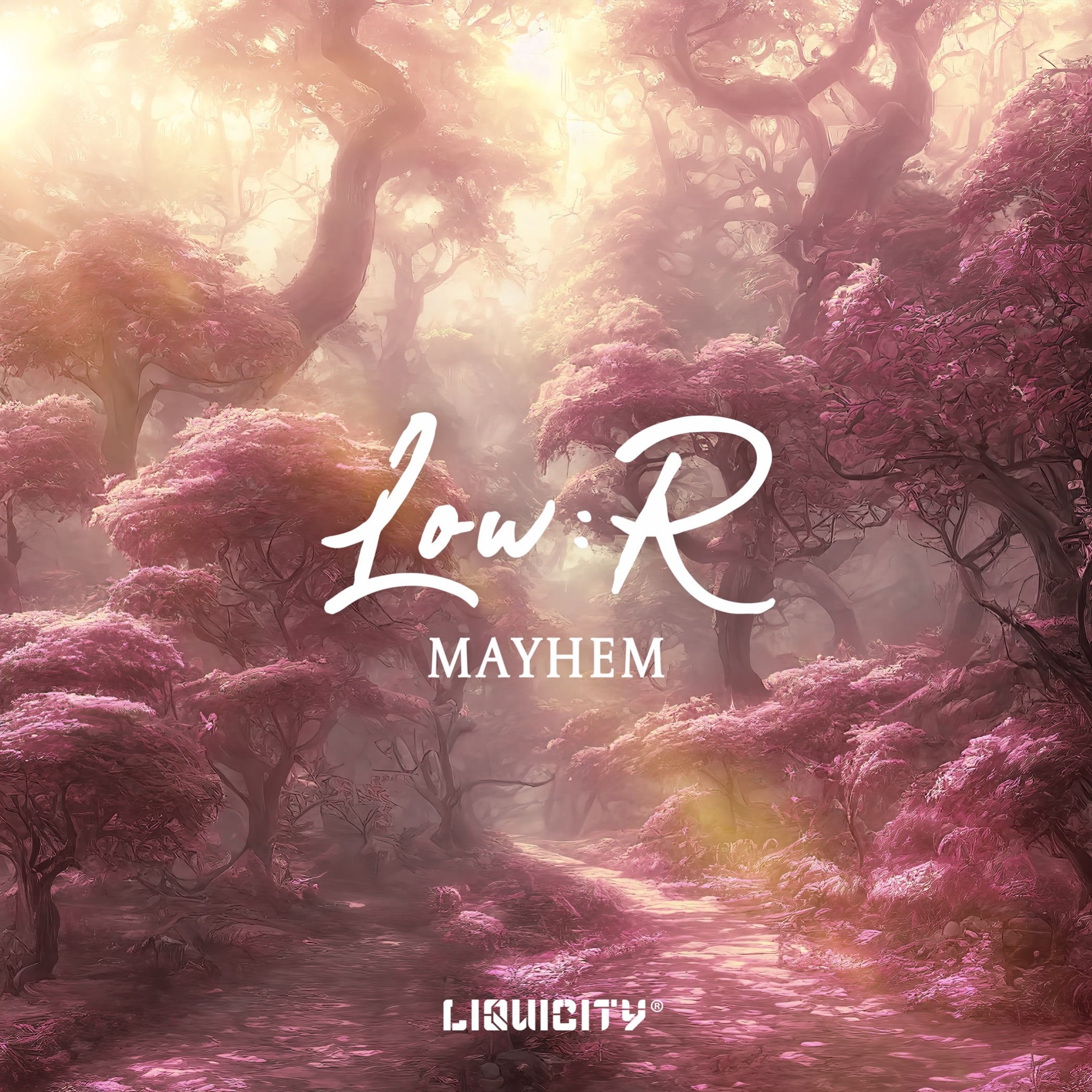 mayhem-liquicity
