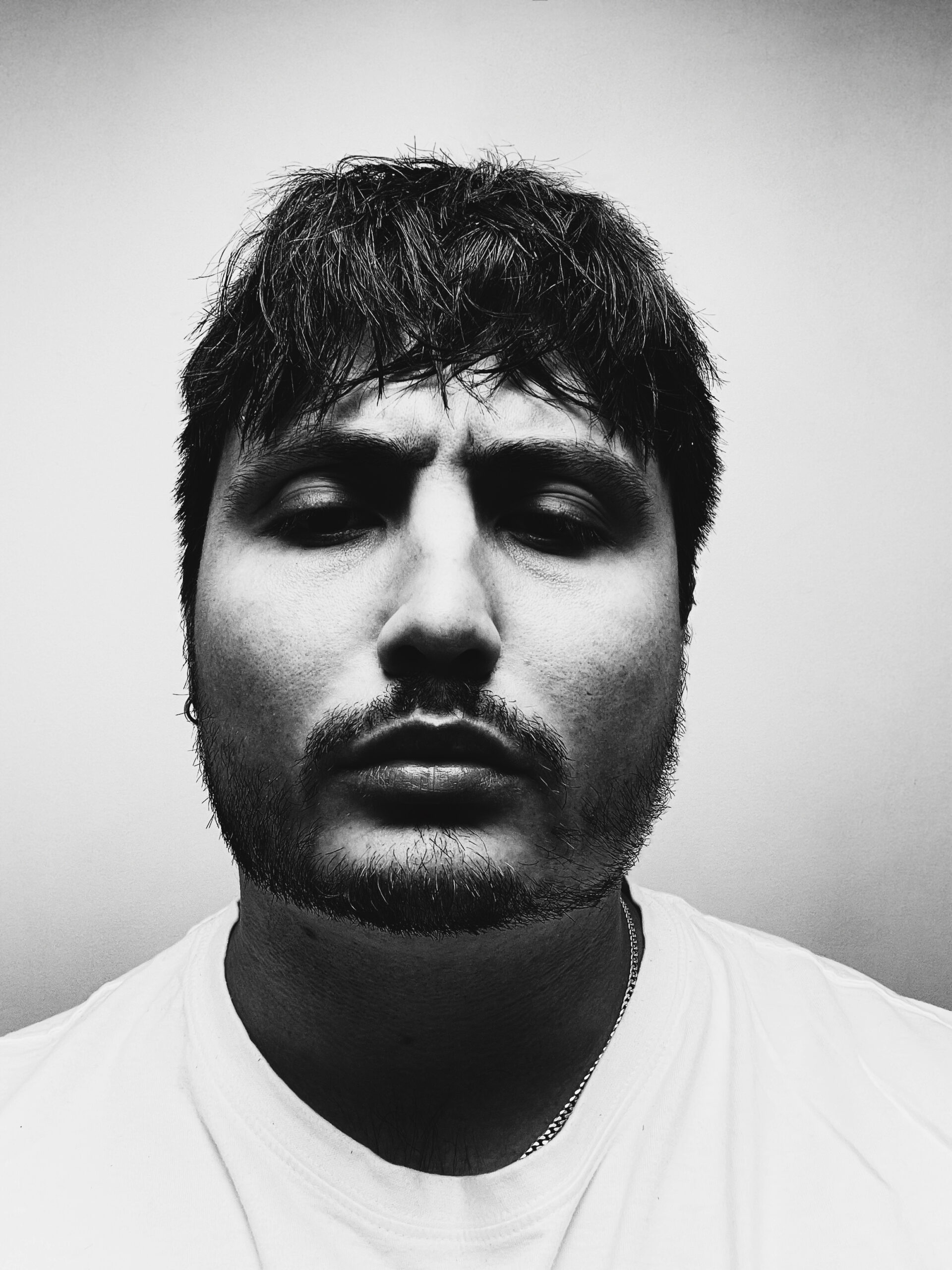 Artist Genetics Liquicity