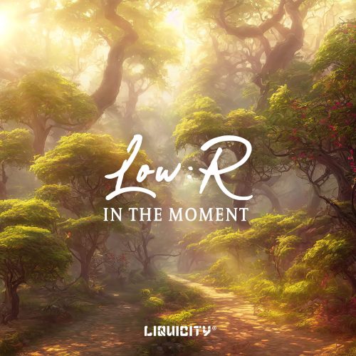 LowR_Art_V2
