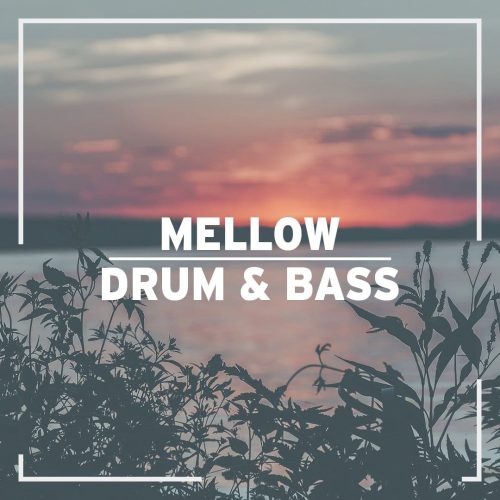 MellowDnB_Final