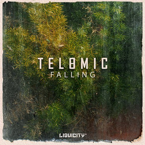 Telomic_Art_Falling_500x500