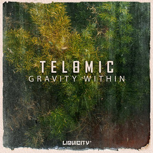 Telomic_Art_V2_500x500